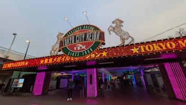 東京メガイルミに投稿された画像（2025/1/12）