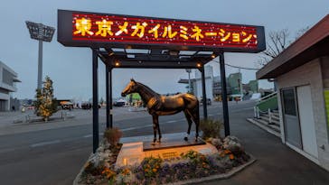 東京メガイルミに投稿された画像（2025/1/12）