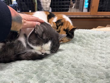 神戸どうぶつ王国に投稿された画像（2025/1/12）