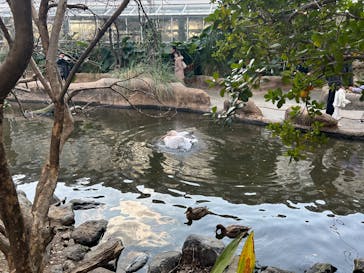 神戸どうぶつ王国に投稿された画像（2025/1/12）