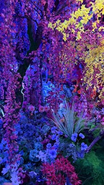 蜷川実花展 with EiM：彼岸の光、此岸の影 NINAGAWA Mika with EiM：Lights of the beyond, Shadows of this worldに投稿された画像（2025/1/12）