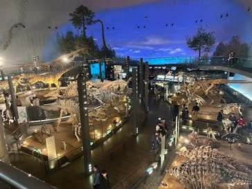 福井県立恐竜博物館に投稿された画像（2025/1/12）