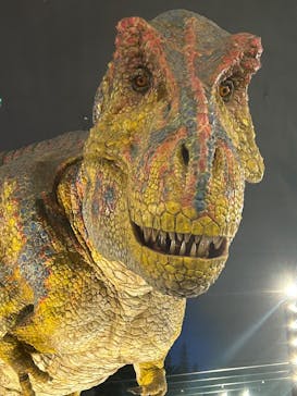 福井県立恐竜博物館に投稿された画像（2025/1/12）