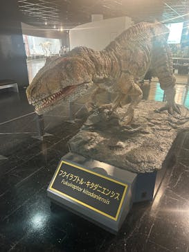 福井県立恐竜博物館に投稿された画像（2025/1/12）
