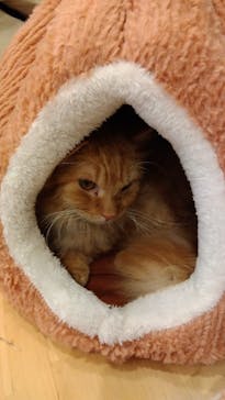 つくばわんわんランドに投稿された画像（2025/1/12）