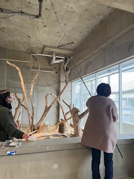 霞ケ浦 どうぶつとみんなのいえに投稿された画像（2025/1/12）