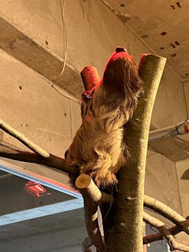 霞ケ浦 どうぶつとみんなのいえに投稿された画像（2025/1/12）