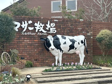 マザー牧場に投稿された画像（2025/1/12）