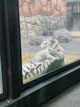 東武動物公園に投稿された画像（2025/1/12）