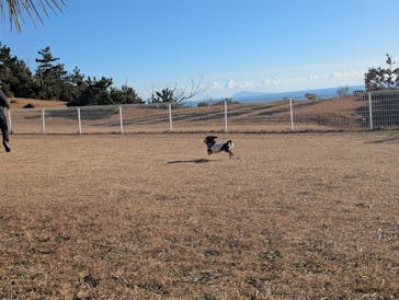 伊豆アニマルキングダムに投稿された画像（2025/1/12）