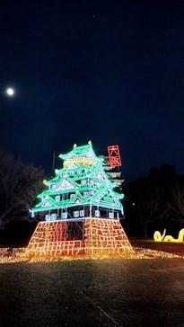 大阪城イルミナージュに投稿された画像（2025/1/12）