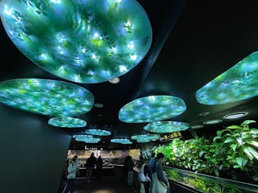 サンシャイン水族館に投稿された画像（2025/1/12）