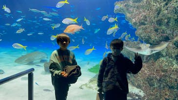 サンシャイン水族館に投稿された画像（2025/1/12）