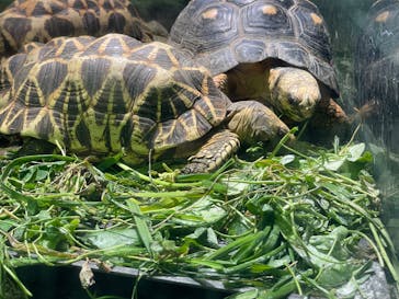 サンシャイン水族館に投稿された画像（2025/1/12）