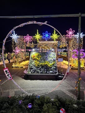 とっとり花回廊に投稿された画像（2025/1/12）