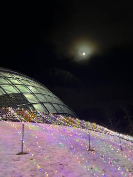 とっとり花回廊に投稿された画像（2025/1/12）