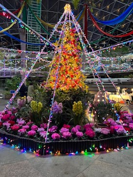 とっとり花回廊に投稿された画像（2025/1/12）