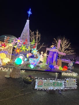 とっとり花回廊に投稿された画像（2025/1/12）