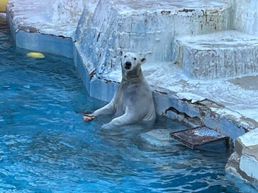 天王寺動物園に投稿された画像（2025/1/12）