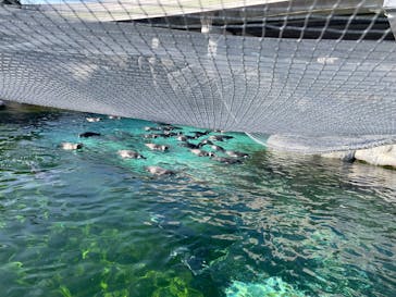 天王寺動物園に投稿された画像（2025/1/12）