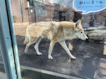 天王寺動物園に投稿された画像（2025/1/12）