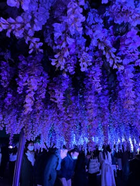 東京メガイルミに投稿された画像（2025/1/12）