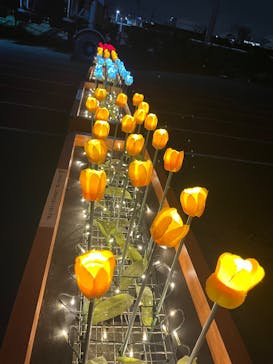 東京メガイルミに投稿された画像（2025/1/12）