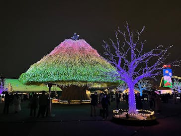 東京メガイルミに投稿された画像（2025/1/12）