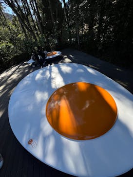 彫刻の森美術館に投稿された画像（2025/1/12）