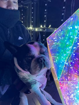 NESTA RESORT KOBE（ネスタリゾート神戸）に投稿された画像（2025/1/12）