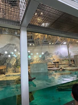 NIFREL（ニフレル）に投稿された画像（2025/1/12）