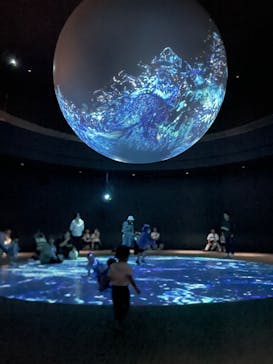 NIFREL（ニフレル）に投稿された画像（2025/1/12）