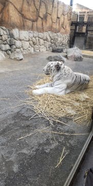 東武動物公園に投稿された画像（2025/1/12）