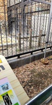 東武動物公園に投稿された画像（2025/1/12）