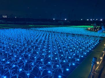 東京メガイルミに投稿された画像（2025/1/12）