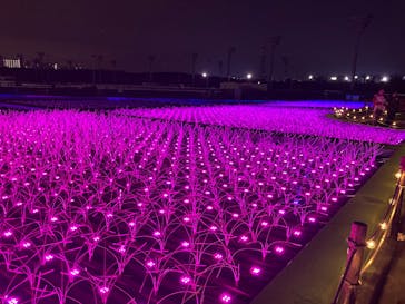 東京メガイルミに投稿された画像（2025/1/12）