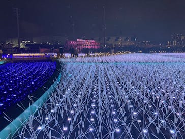 東京メガイルミに投稿された画像（2025/1/12）