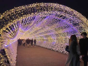 東京メガイルミに投稿された画像（2025/1/12）