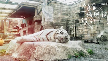 東武動物公園に投稿された画像（2025/1/12）