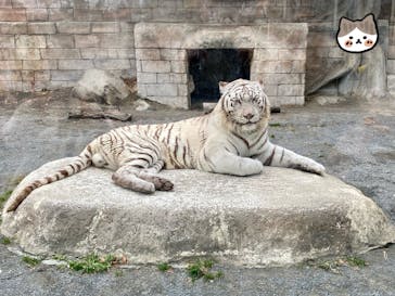 東武動物公園に投稿された画像（2025/1/12）