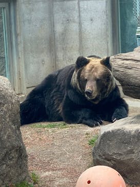 東武動物公園に投稿された画像（2025/1/12）