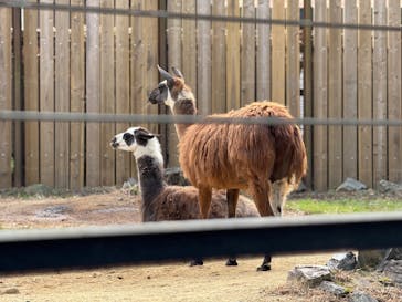 東武動物公園に投稿された画像（2025/1/12）