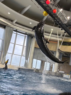 アクアワールド茨城県大洗水族館に投稿された画像（2025/1/12）