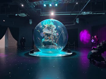 AQUARIUM × ART　atoa×felissimo chocolate museum（フェリシモ チョコレート ミュージアム）に投稿された画像（2025/1/12）