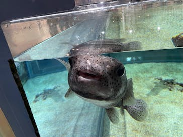 NIFREL（ニフレル）に投稿された画像（2025/1/12）