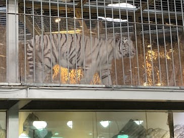 NIFREL（ニフレル）に投稿された画像（2025/1/12）