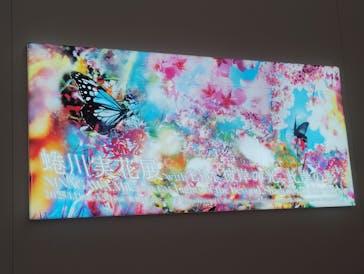 蜷川実花展 with EiM：彼岸の光、此岸の影 NINAGAWA Mika with EiM：Lights of the beyond, Shadows of this worldに投稿された画像（2025/1/12）