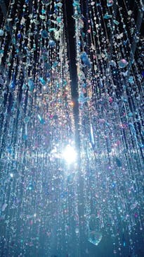 蜷川実花展 with EiM：彼岸の光、此岸の影 NINAGAWA Mika with EiM：Lights of the beyond, Shadows of this worldに投稿された画像（2025/1/12）