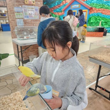 いきもの探検隊上尾に投稿された画像（2025/1/12）