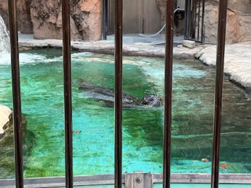 恩賜上野動物園に投稿された画像（2025/1/12）